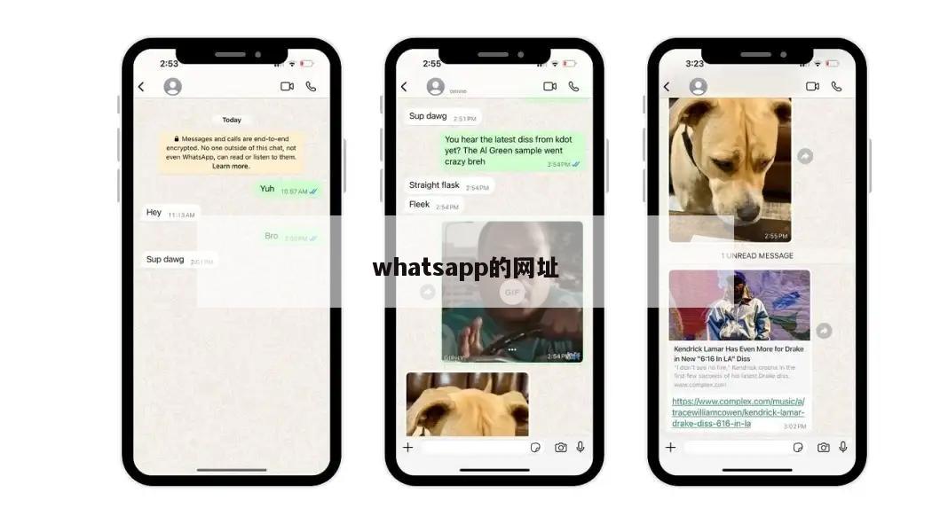 whatsapp的网址